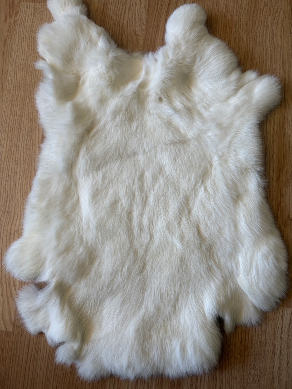 B0006 rabbit pelt crafts decor